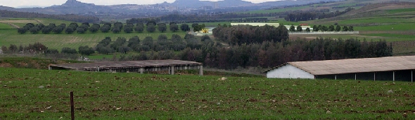 inserimento ambientale