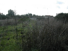 area verde