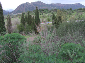 area di progetto