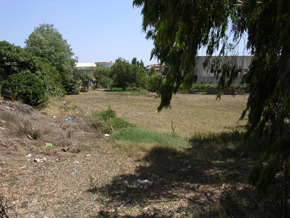 area di intervento